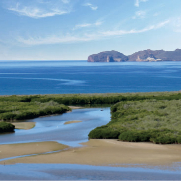 Estero del Soldado